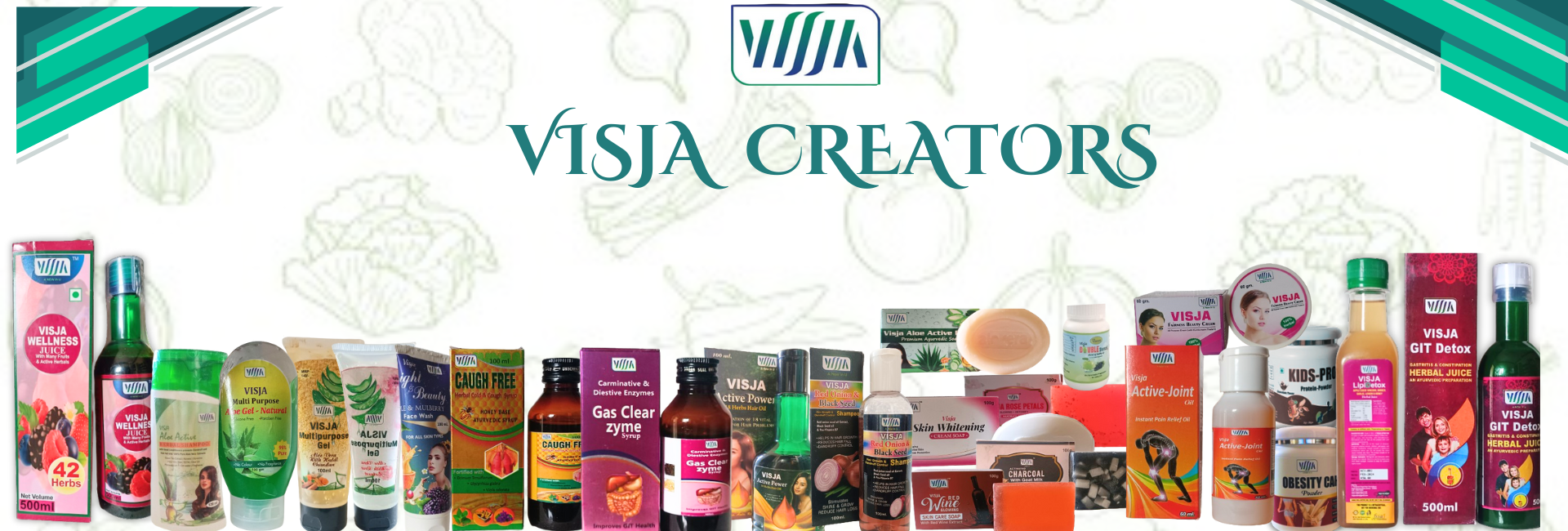 Visja Website Banner